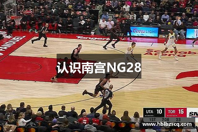 认识南宫NG28